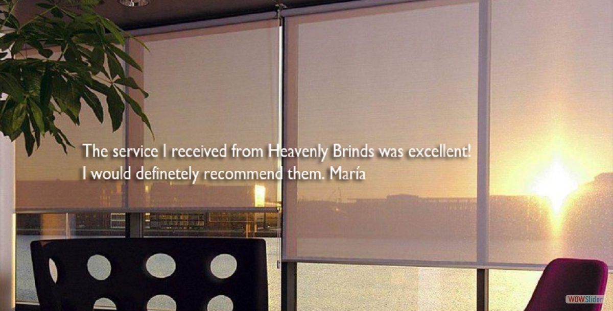 Screen Roll up Shade